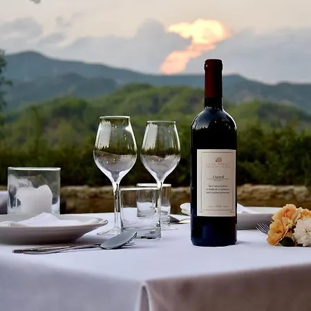 Hotel Villa Permet Permet